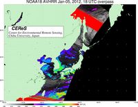 NOAA18Jan0518UTC_SST.jpg