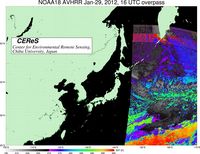 NOAA18Jan2916UTC_SST.jpg