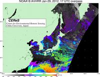 NOAA18Jan2917UTC_SST.jpg