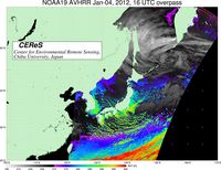 NOAA19Jan0416UTC_SST.jpg