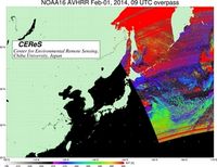 NOAA16Feb0109UTC_SST.jpg