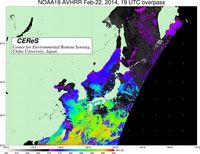 NOAA18Feb2219UTC_SST.jpg