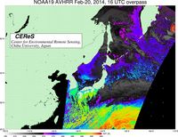 NOAA19Feb2016UTC_SST.jpg