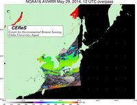 NOAA16May2912UTC_SST.jpg