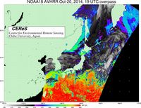 NOAA18Oct2019UTC_SST.jpg