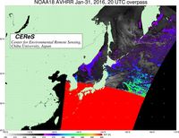 NOAA18Jan3120UTC_SST.jpg