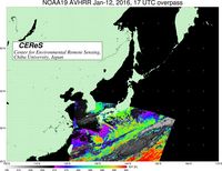 NOAA19Jan1217UTC_SST.jpg
