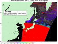 NOAA19Jan3117UTC_SST.jpg